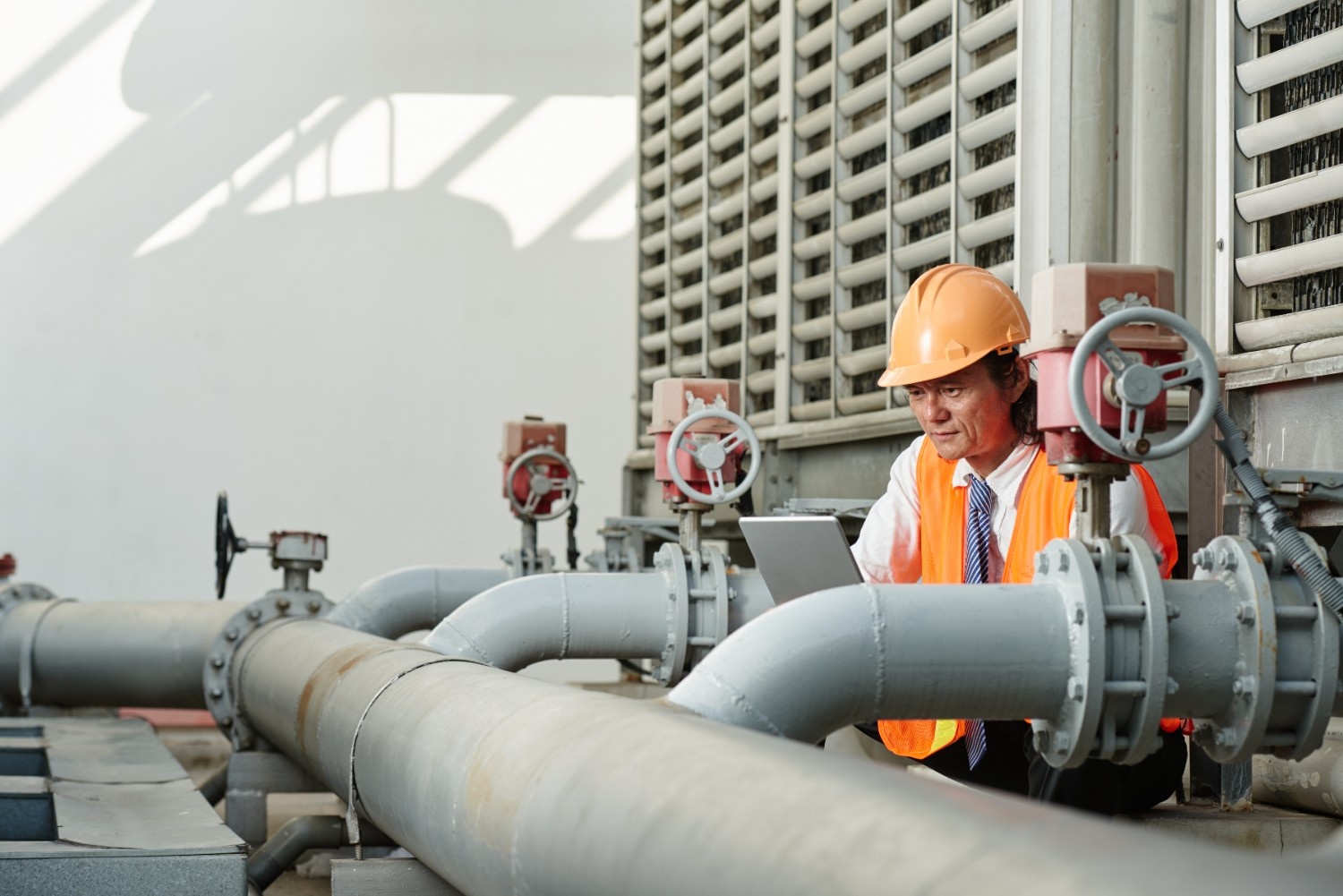 Plant Shutdown inspection APS